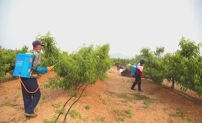 世代海洋生物科技 以科技與創新為雙翼，引領海帶行業與生物有機肥研發新篇章