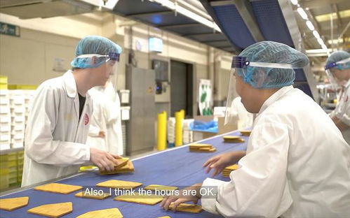 從講臺到餅廠 香港移民在英國的階層漂流與重生